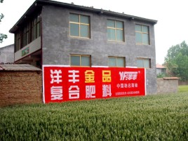 浦城县如何让墙体广告展现最大化效果